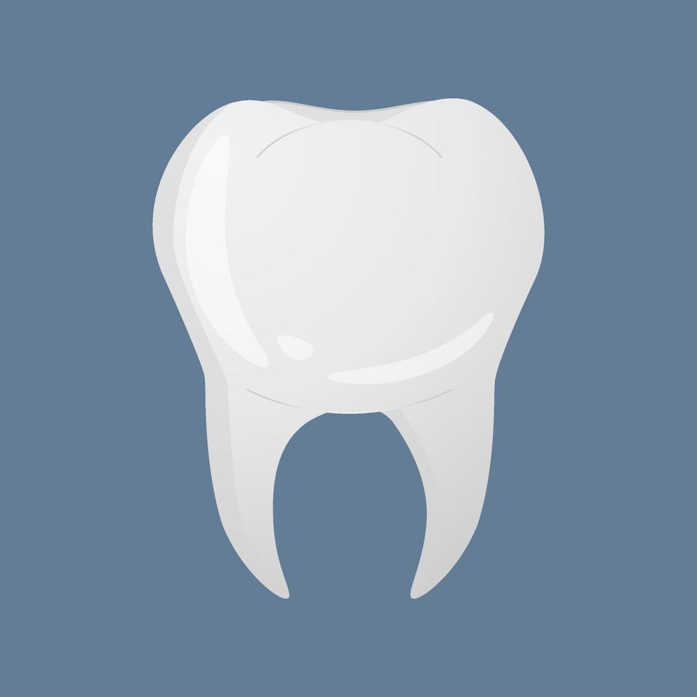 dent dans un style réaliste. icône de dentiste de dents. illustration de vecteur coloré isolé sur fond.
