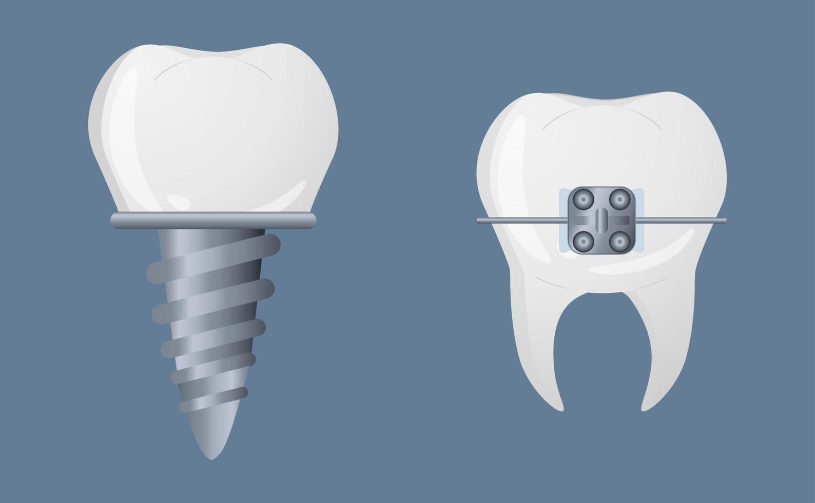 dents dans un style réaliste. icônes de détails dentaires. illustration de vecteur coloré isolé sur fond.