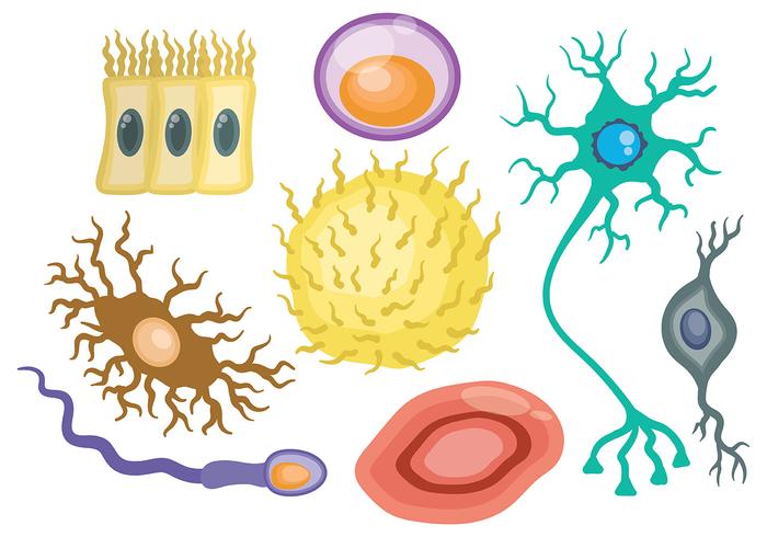 Vecteur icône neuron gratuit