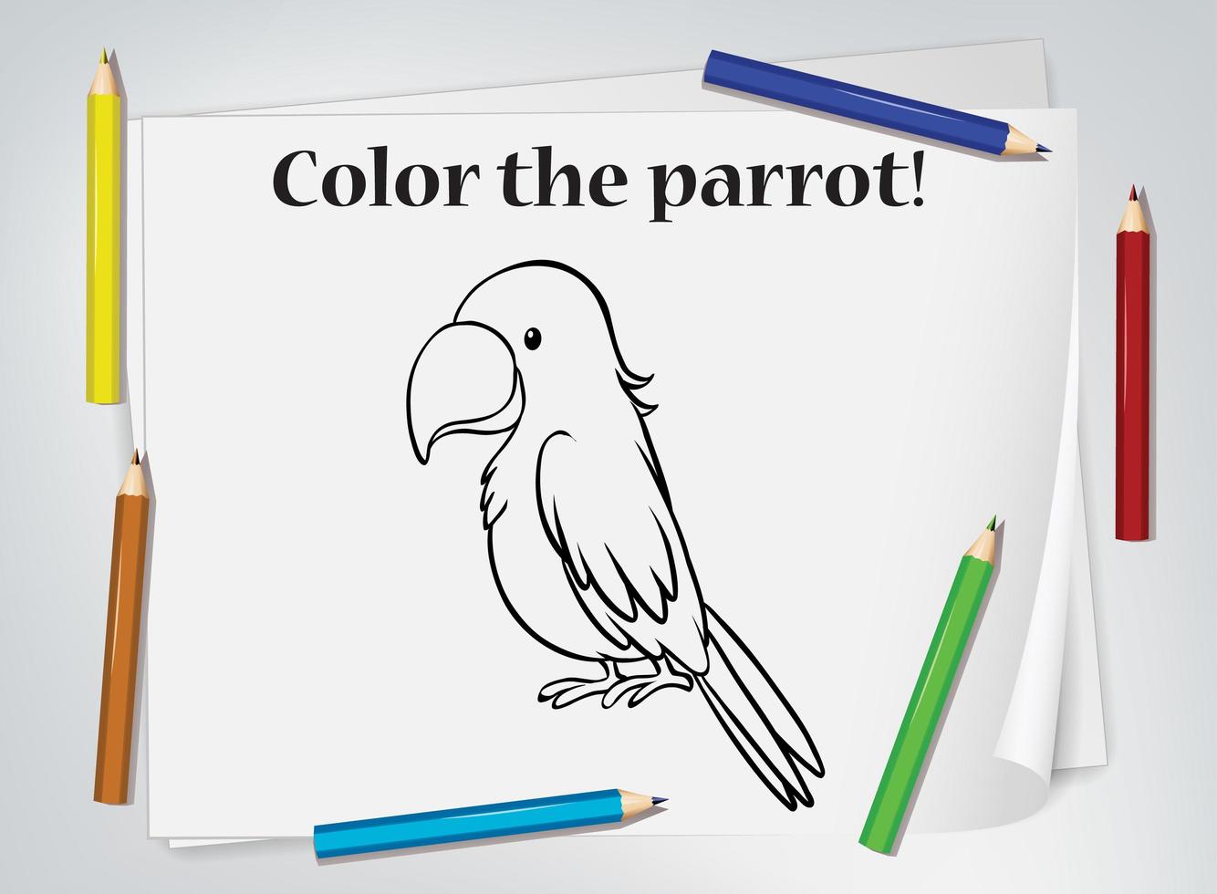 feuille de travail à colorier perroquet vecteur