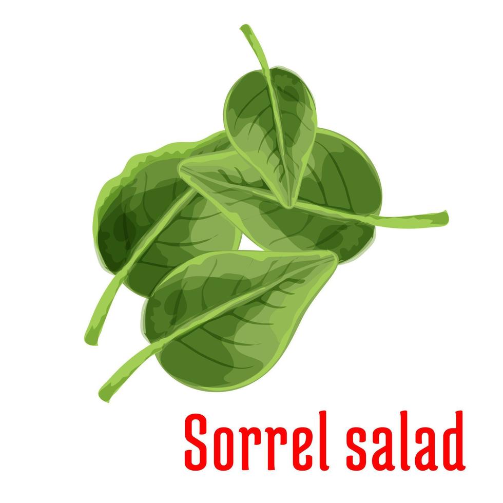 icône de feuilles vertes de légumes salade d'oseille fraîche vecteur