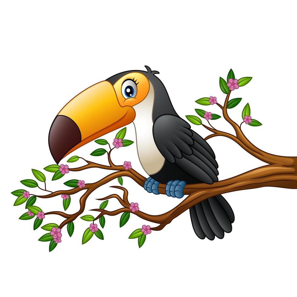 toucan drôle de dessin animé sur une branche d'arbre vecteur