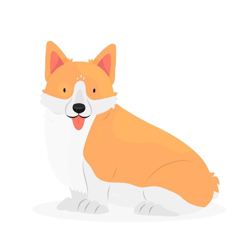 le corgi de race de chien avec sa langue pendante est assis. le personnage est un chien isolé sur fond blanc. illustration animale vectorielle. vecteur