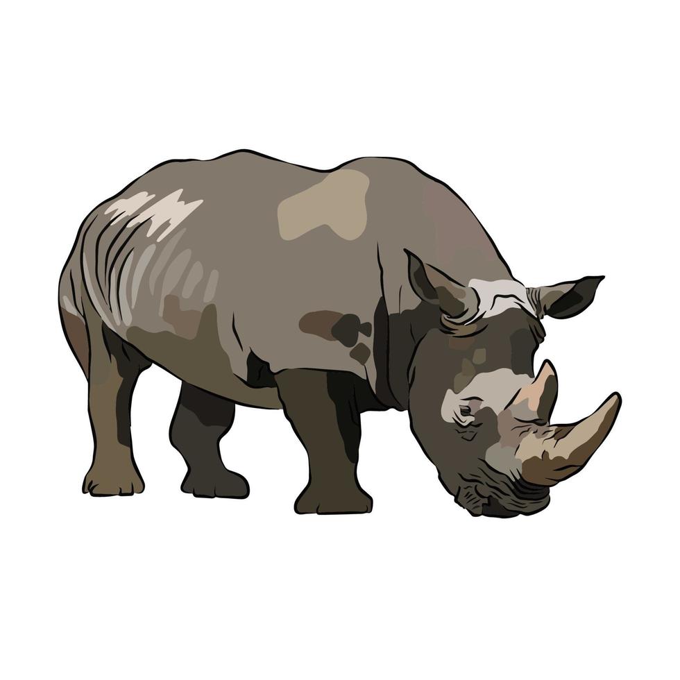 c'est une belle photo de rhinocéros. vecteur