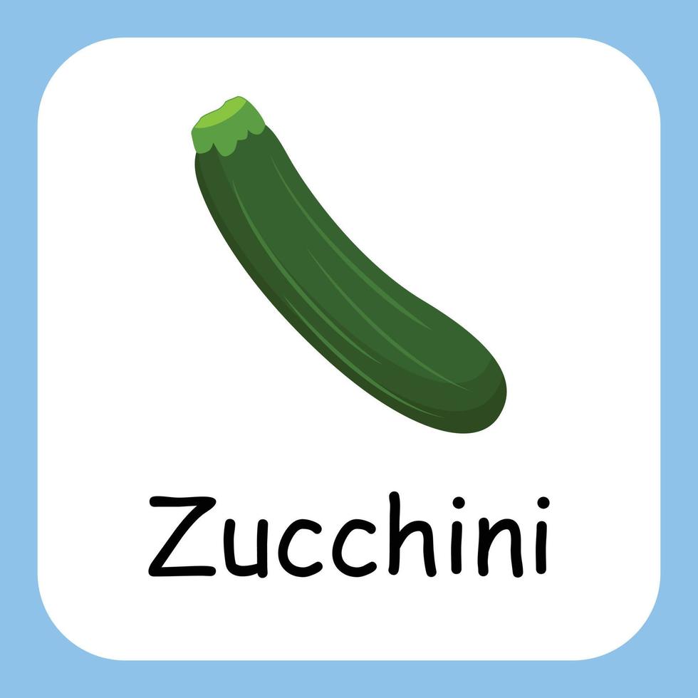 clipart de courgettes avec texte, design plat. éducation pour les enfants. illustration vectorielle vecteur