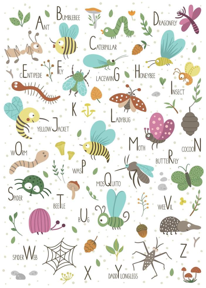 alphabet boisé pour les enfants. abc plat mignon avec des insectes forestiers. affiche drôle de mise en page verticale pour enseigner la lecture sur fond blanc. vecteur