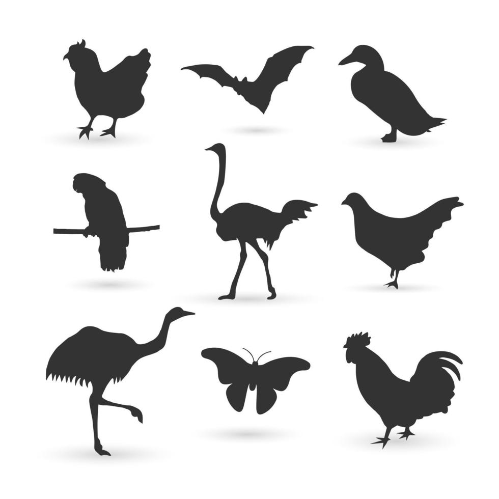 collection d'illustrations de silhouettes d'animaux ailés vecteur