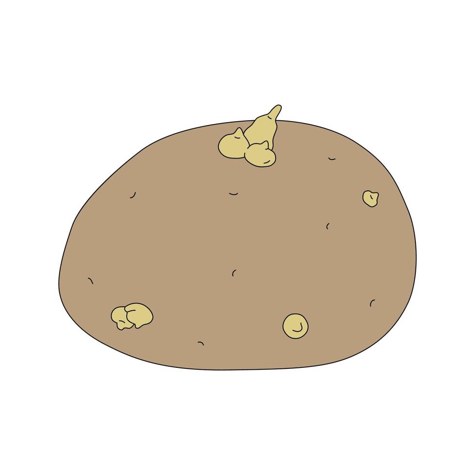 illustration vectorielle de pomme de terre avec germes isolés sur fond blanc. légume frais mûr en style cartoon vecteur