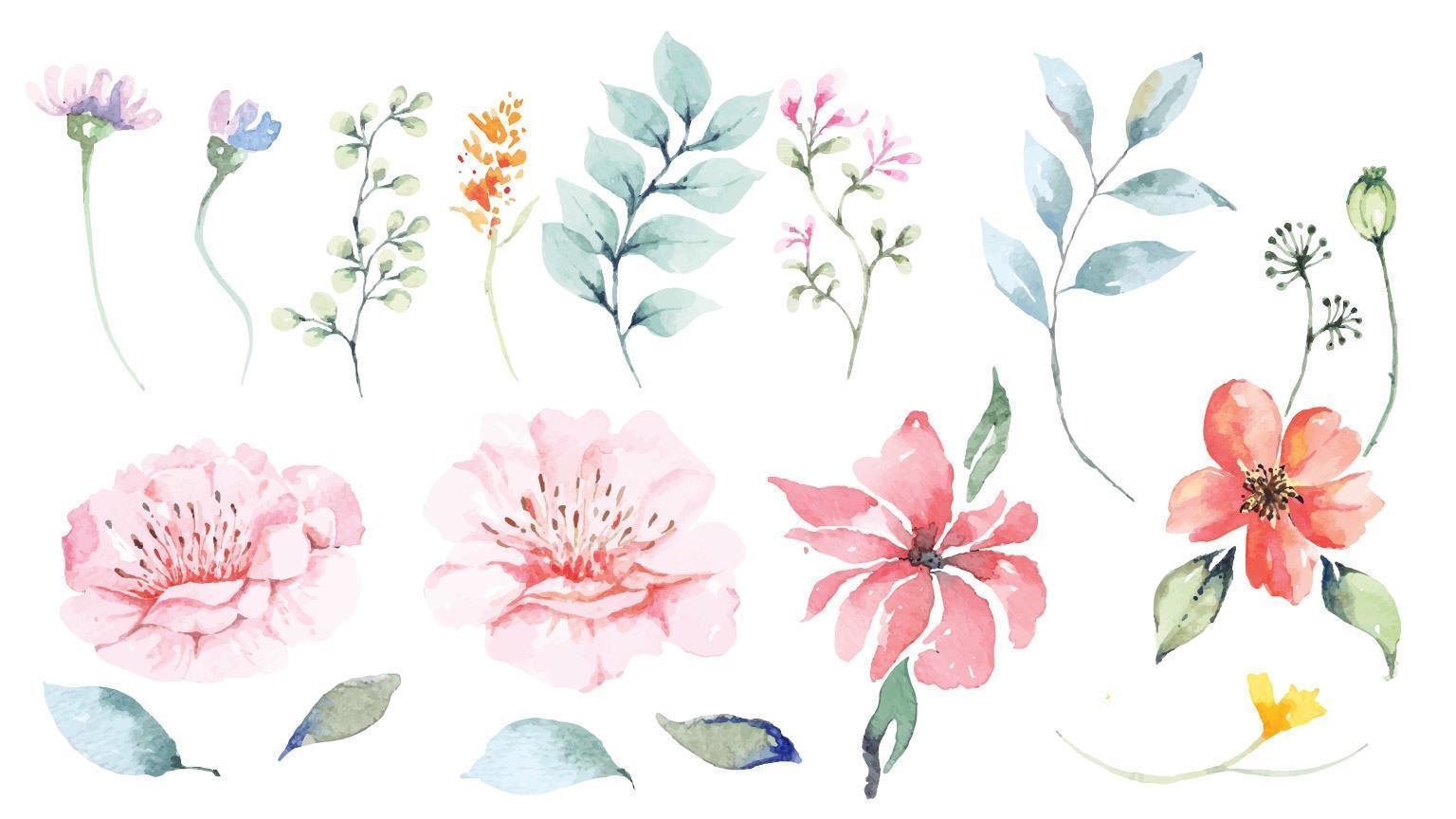 ensemble de pétales de fleurs et conception aquarelle fleur 1186618 -  Telecharger Vectoriel Gratuit, Clipart Graphique, Vecteur Dessins et  Pictogramme Gratuit