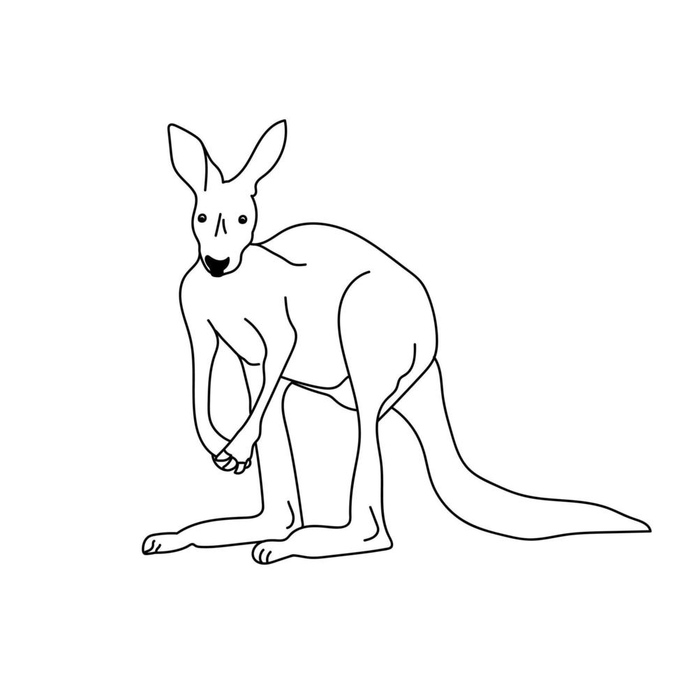 contour de la page de coloriage de kangourou avec un animal mignon, sauvetage d'animaux australiens vecteur