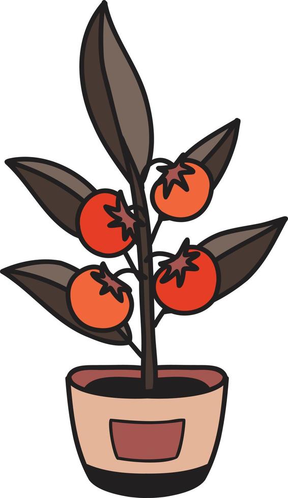 tomates dessinées à la main plantées dans des pots illustration vecteur