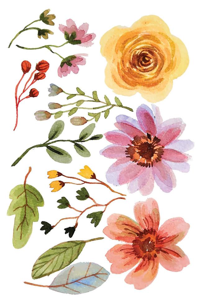 éléments de fleurs aquarelles vecteur