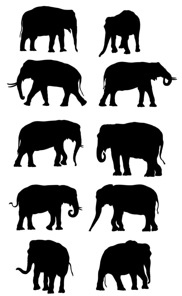 ensemble d'éléphants noirs de vecteur