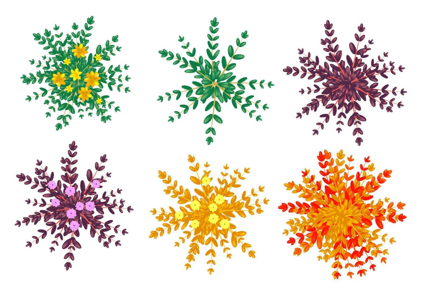 arbuste d'épine-vinette. vue de dessus des buissons pour la conception architecturale et paysagère. ensemble de plantes vectorielles et d'arbres de différentes couleurs. graphiques isolés sur blanc. arbustes d'ornement. vecteur