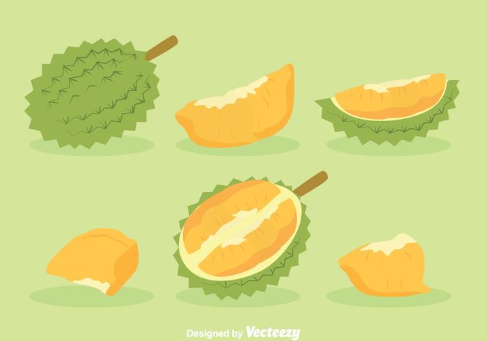 Vecteur de fruits de Durian