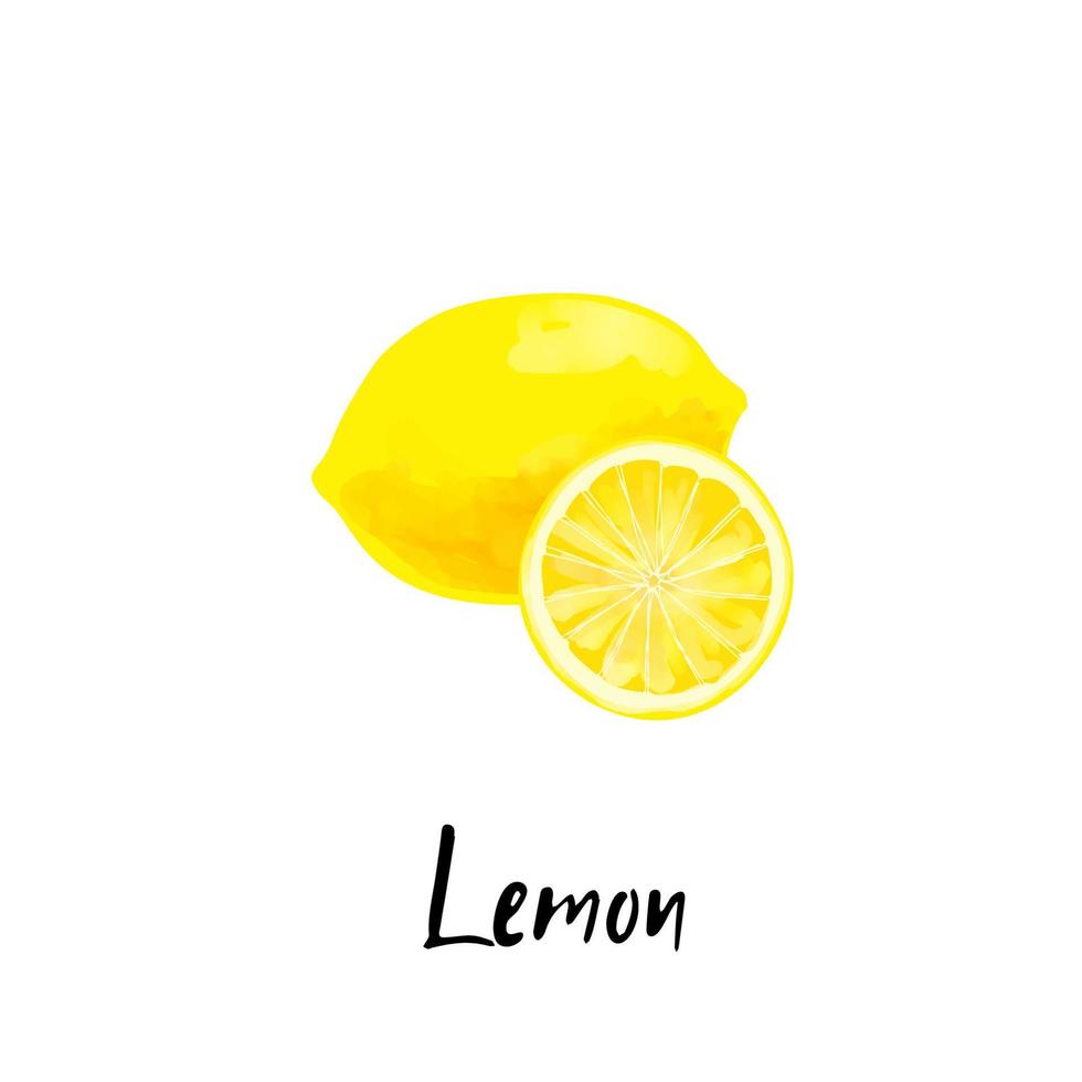 Illustration d'un citron isolé sur fond blanc vecteur