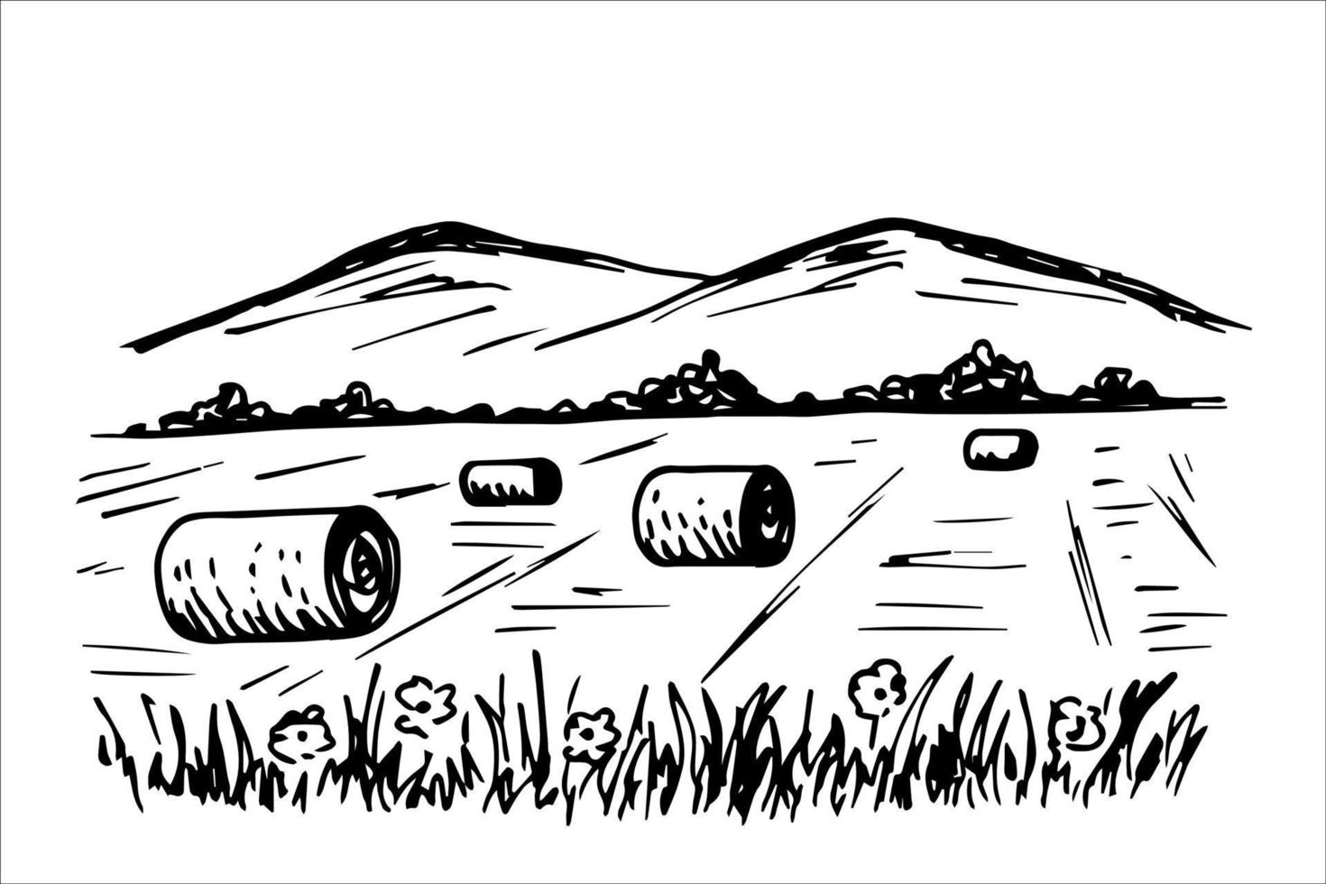 paysage européen classique, balles rondes de meules de foin, paille dans le champ. montagnes à l'horizon, herbe et fleurs au premier plan. dessin à main levée noir et blanc vectoriel dans le style de gravure.