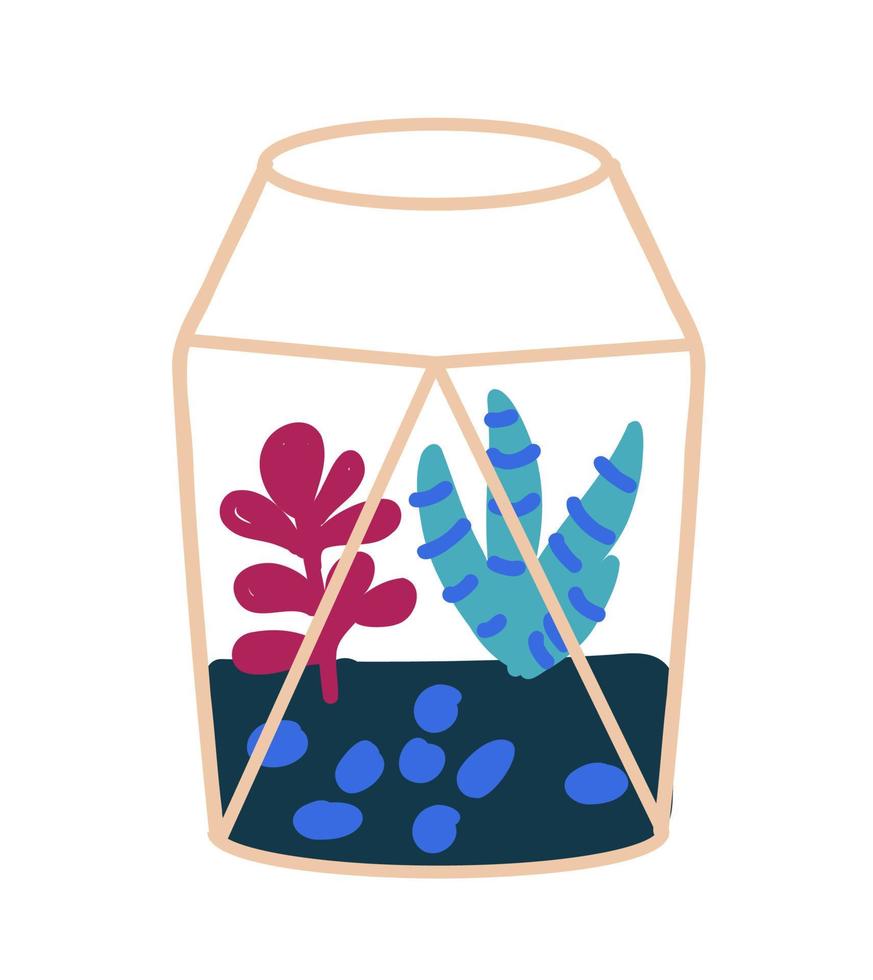 succulente dans un pot de fleurs en verre. illustration de florarium. vecteur