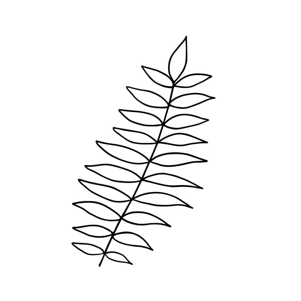 laisse une illustration de concept minimaliste de vecteur de contour simple, branche florale dessinée à la main en ligne mince, élément pour les invitations, cartes de voeux, conception de livret