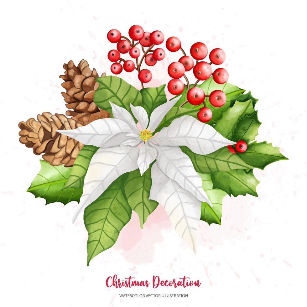 poinsettia de noël aquarelle, houx, ensemble de pommes de pin, illustration aquarelle de peinture numérique vecteur