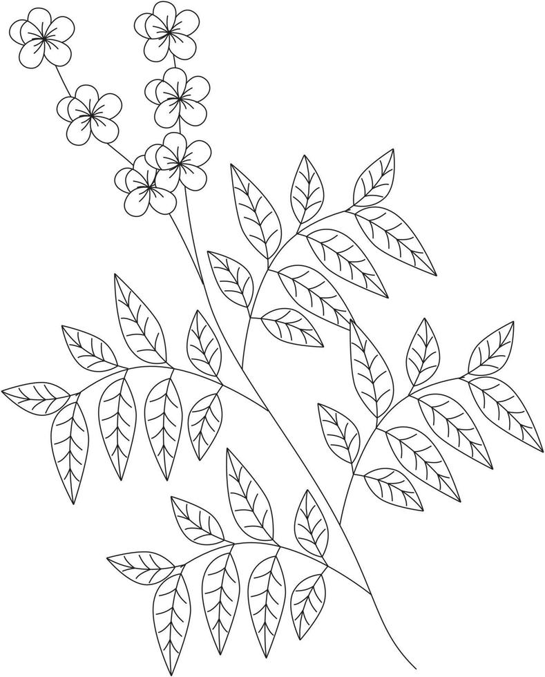 senna alexandrina icône de vecteur de feuille de séné noir et blanc
