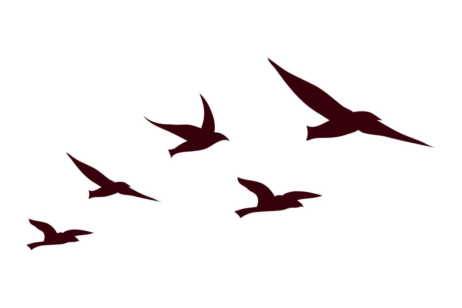 oiseaux qui volent des silhouettes vecteur