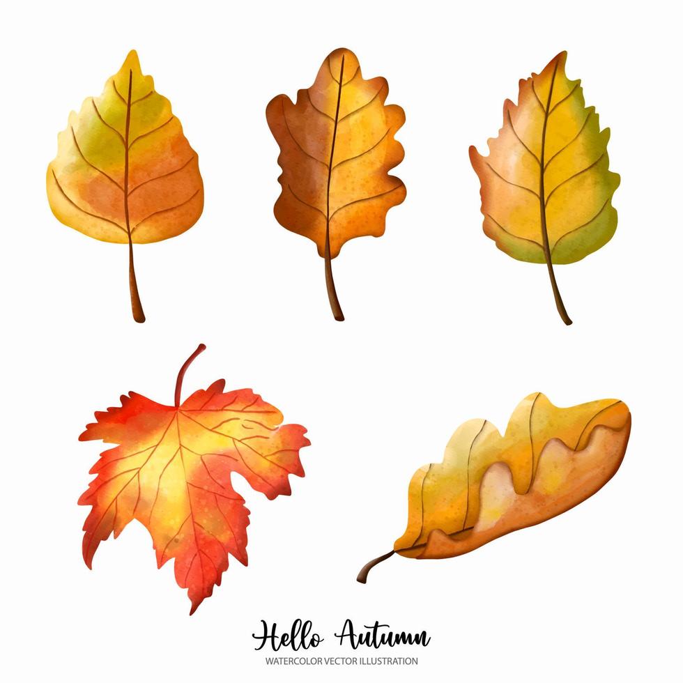 éléments de feuilles d'automne aquarelle, automne ou illustration vectorielle aquarelle complète vecteur