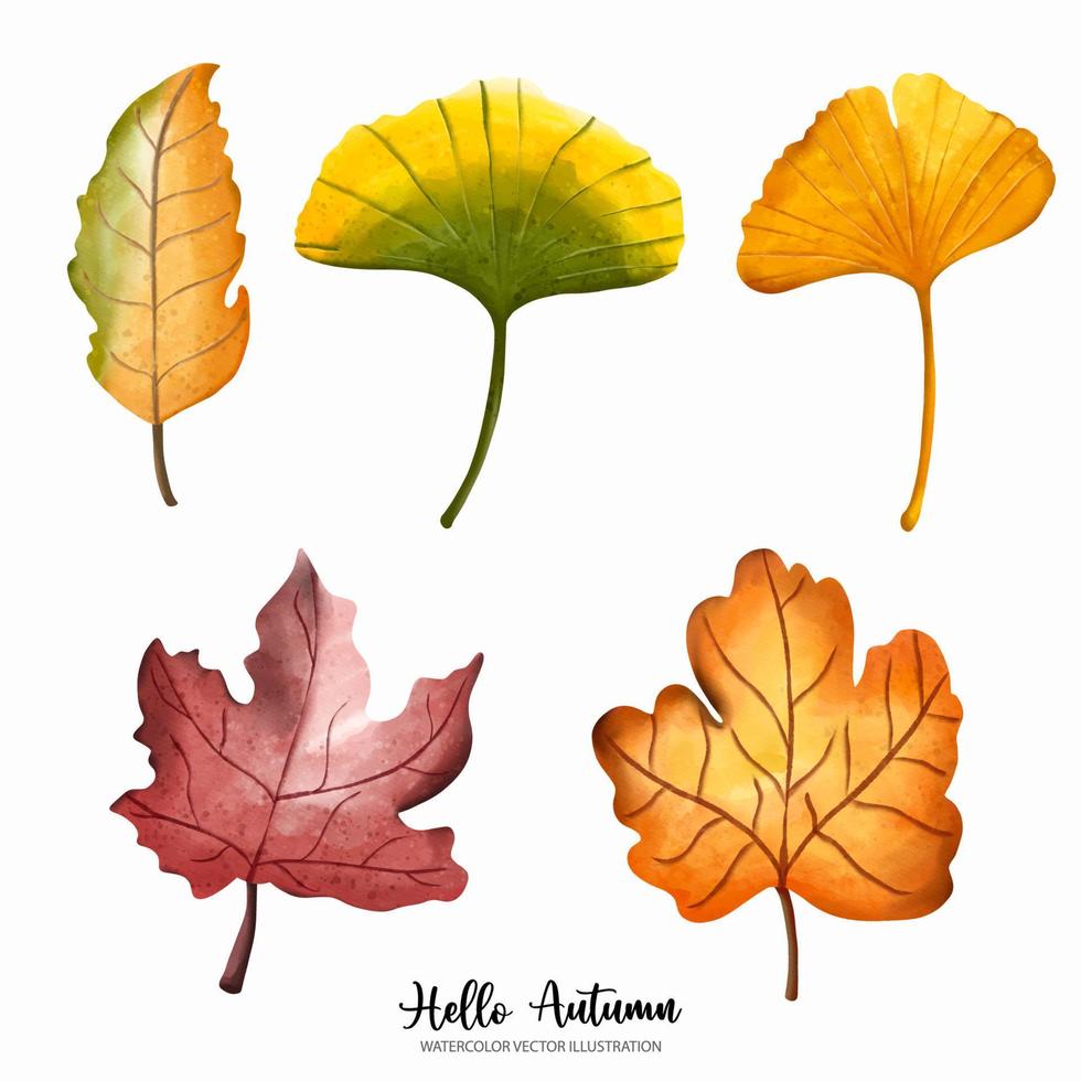 automne aquarelle. éléments de feuilles d'automne, automne ou illustration vectorielle aquarelle complète vecteur