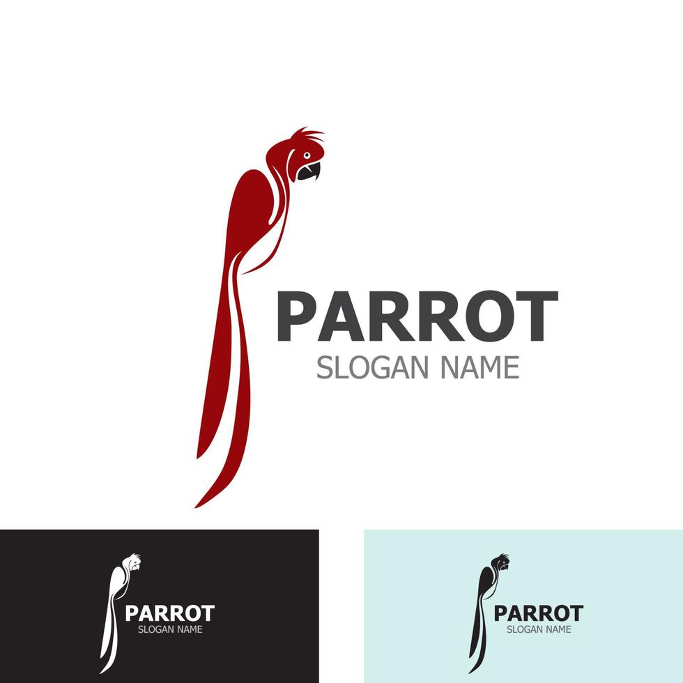 création de logo de perroquet, modèle créatif d'animaux de thèmes vecteur