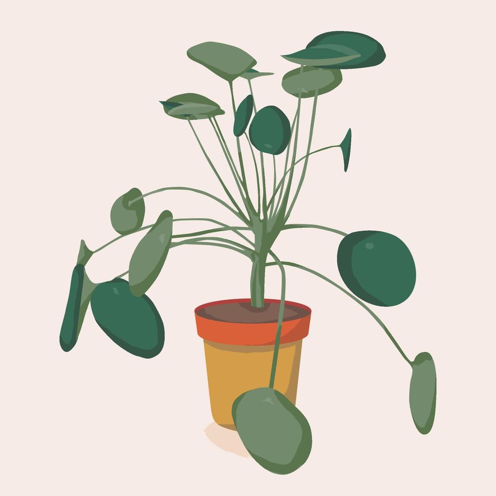 illustration de plante d'intérieur pilea. déco cosy scandinave. illustration d'icône de dessin animé de vecteur plat de plante d'intérieur isolée