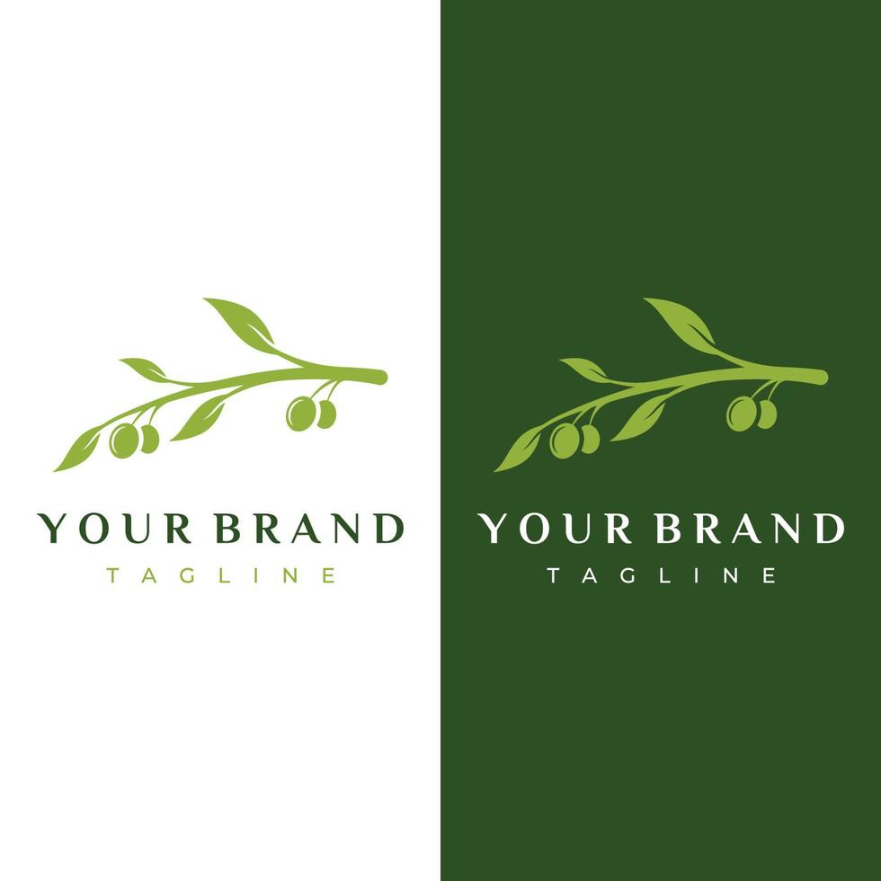 création de logo d'olive et d'huile à base de plantes naturelles avec branche d'olivier. logo pour les entreprises, l'image de marque, la phytothérapie et le spa. vecteur