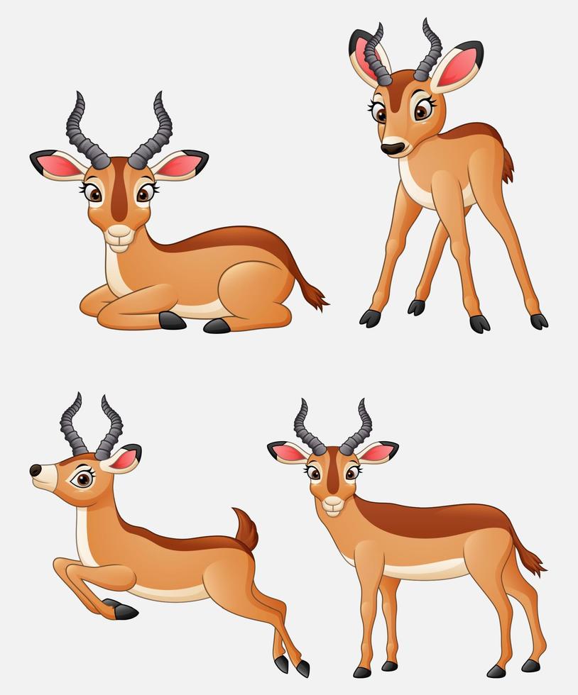 ensemble de collection d'impala de dessin animé vecteur