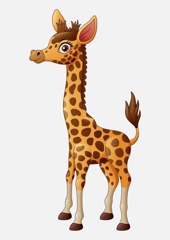 dessin animé mignon girafe isolé sur fond blanc vecteur