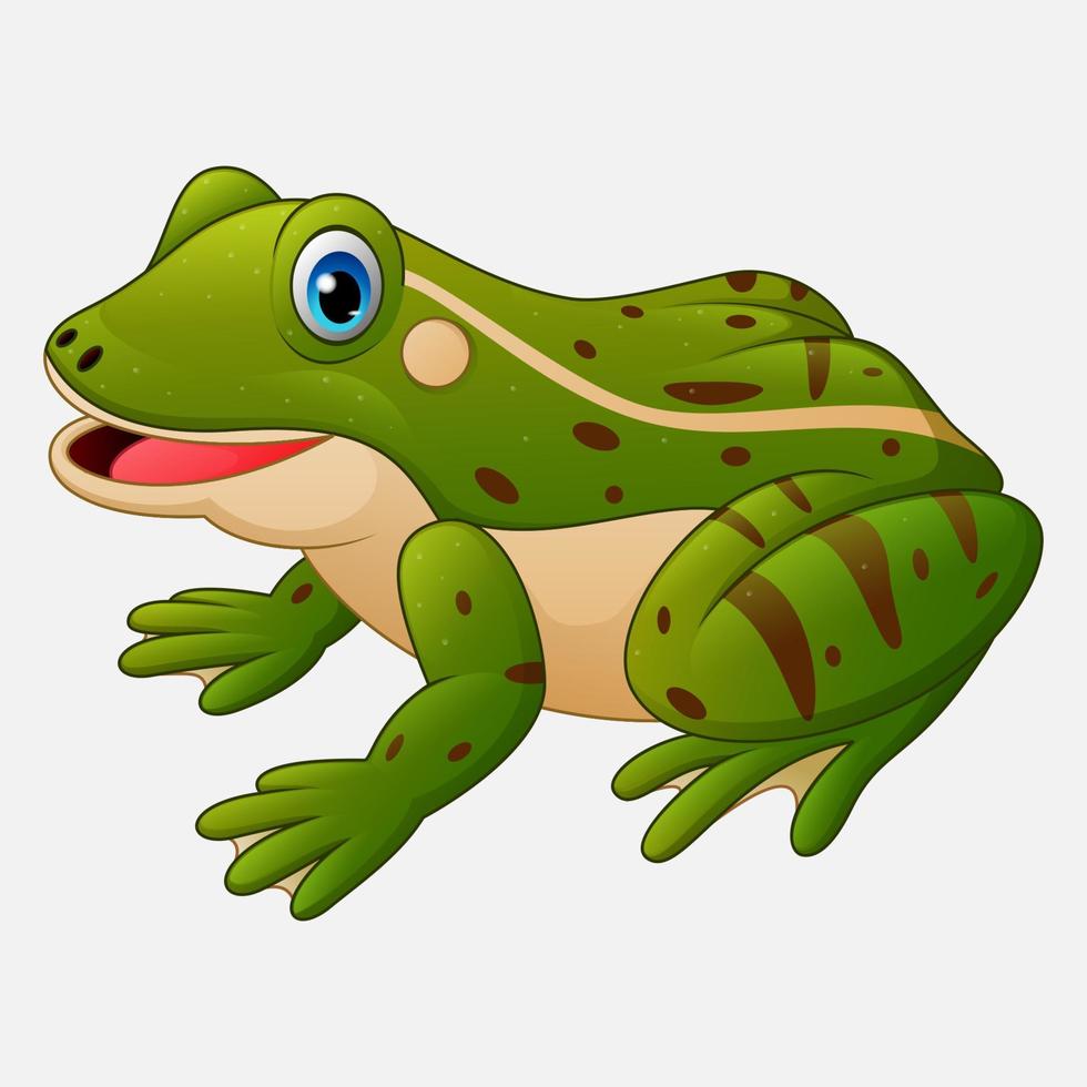 grenouille mignonne de dessin animé vecteur