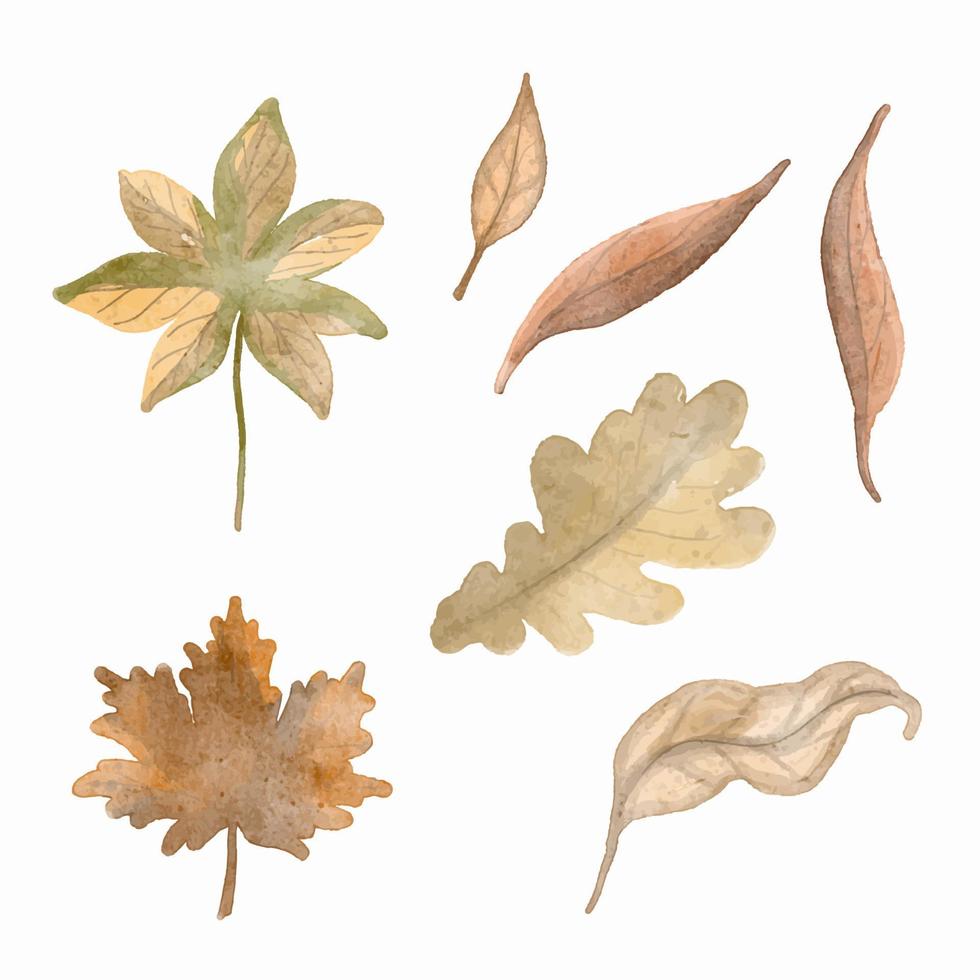 ensemble aquarelle de belles feuilles d'automne colorées en vecteur. vecteur