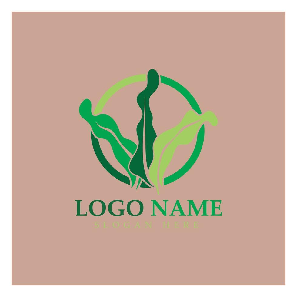 conception d'illustration d'icône de logo vectoriel d'algues.inclut les fruits de mer, les produits naturels, le fleuriste, l'écologie, le bien-être, le spa.