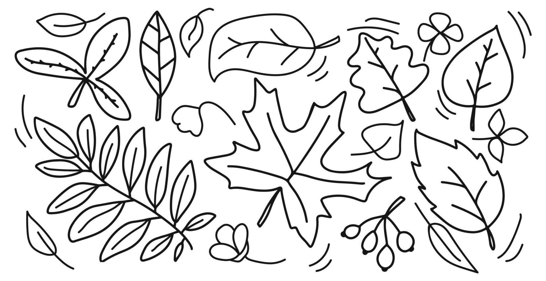 collection de feuilles d'automne dans un style doodle dessiné à la main. feuilles différentes. éléments d'automne isolés sur fond blanc. vecteur
