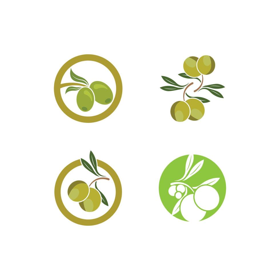 illustration d'images logo olive vecteur