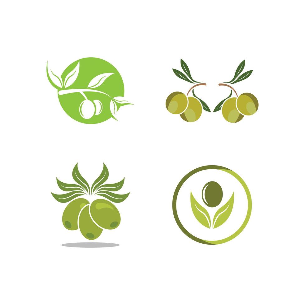 illustration d'images logo olive vecteur