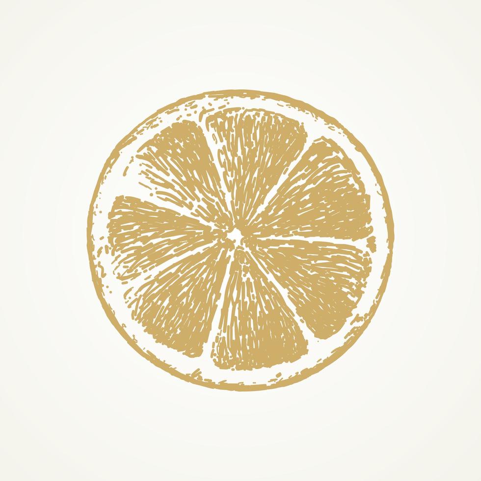 tranche de citron dessiné à la main vecteur