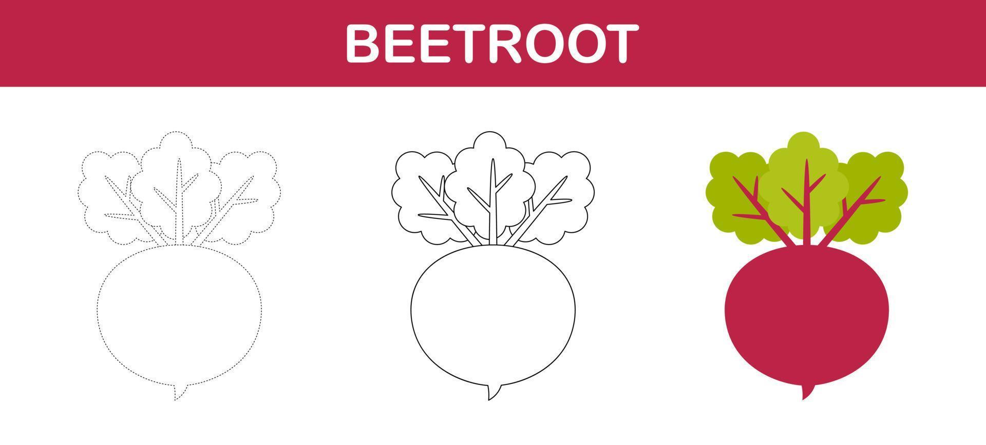 feuille de travail de traçage et de coloriage de betterave rouge pour les enfants vecteur