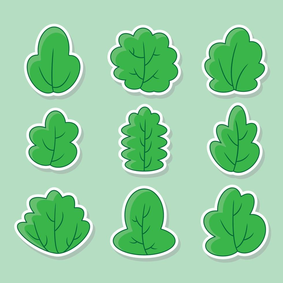 neuf sortes de feuilles vertes vecteur