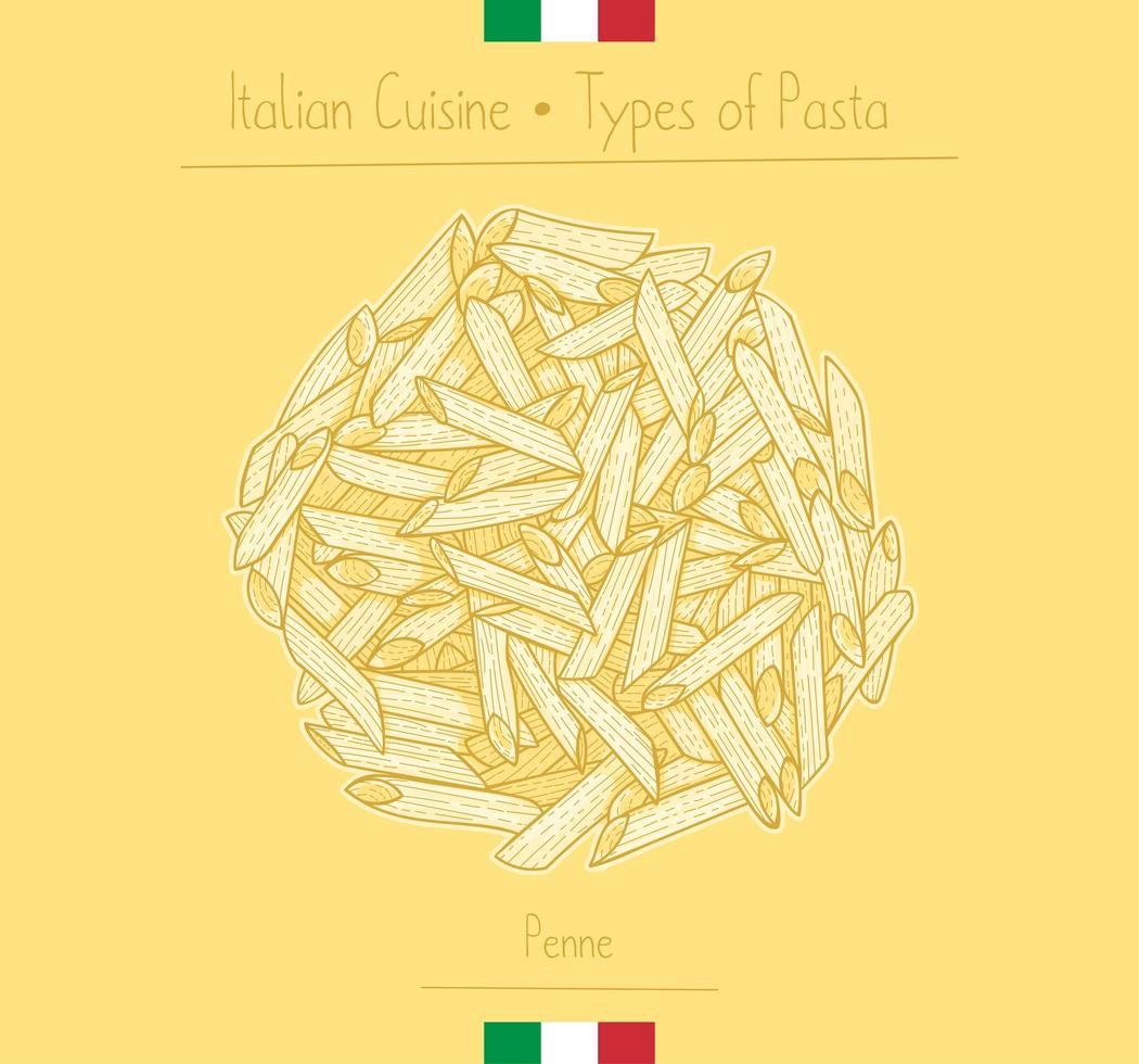 pâtes penne cuisine italienne vecteur