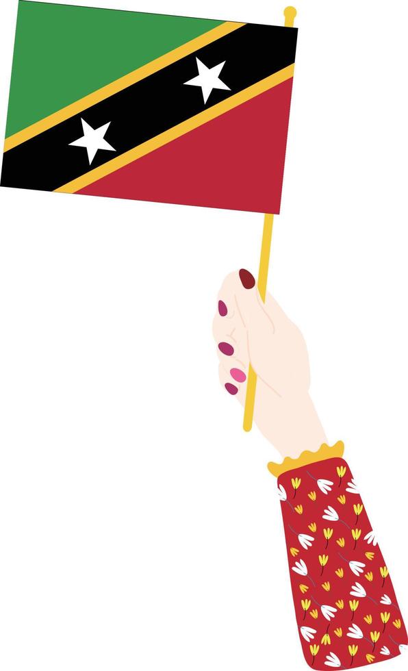 vecteur de drapeau de saint kitts et nevis dessiné à la main, vecteur de dollar des caraïbes orientales dessiné à la main