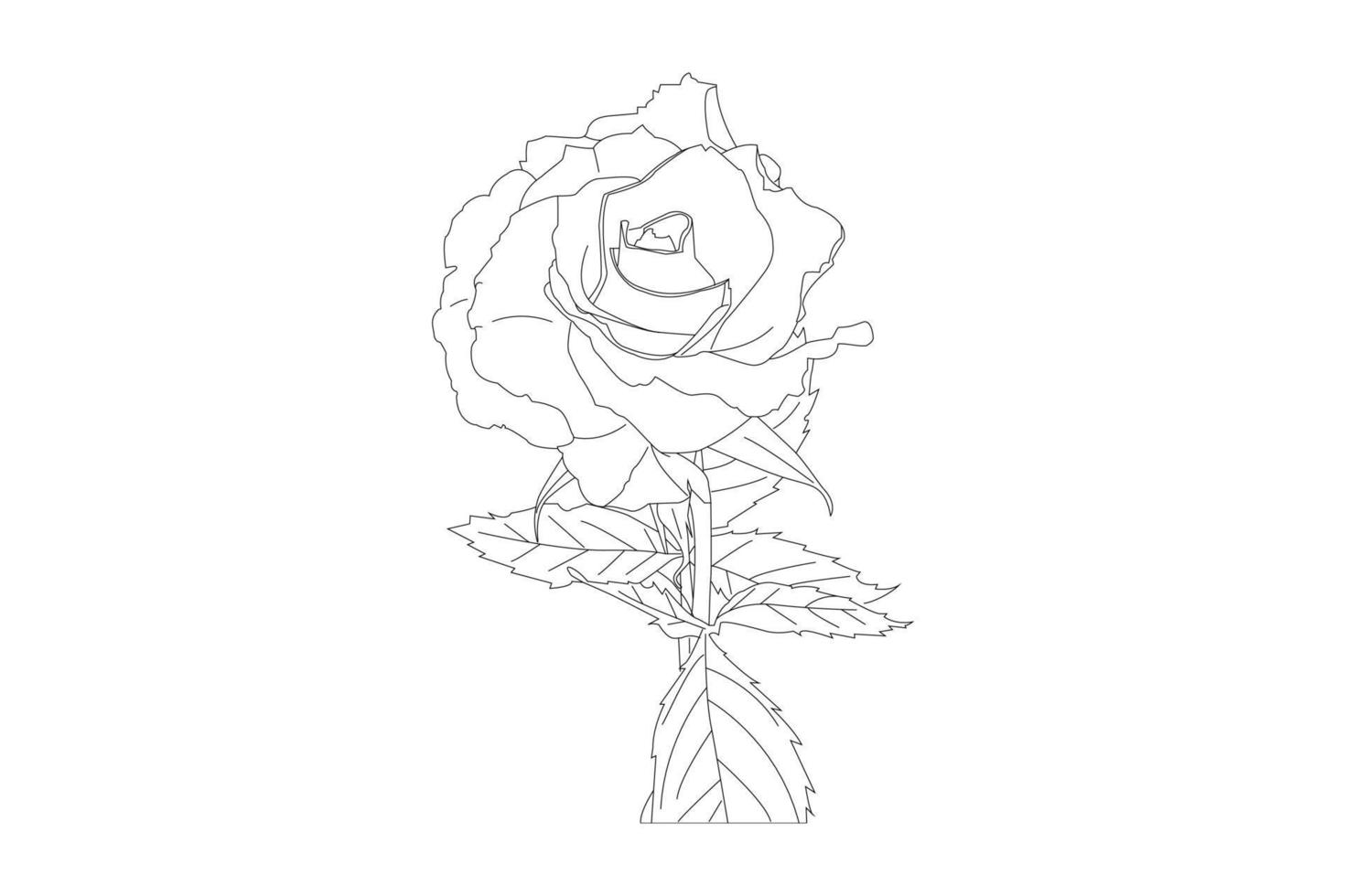 illustration vectorielle, page de coloriage kdp, fleurs de contour vectoriel. page de coloriage d'art en ligne avec des roses et des feuilles vecteur