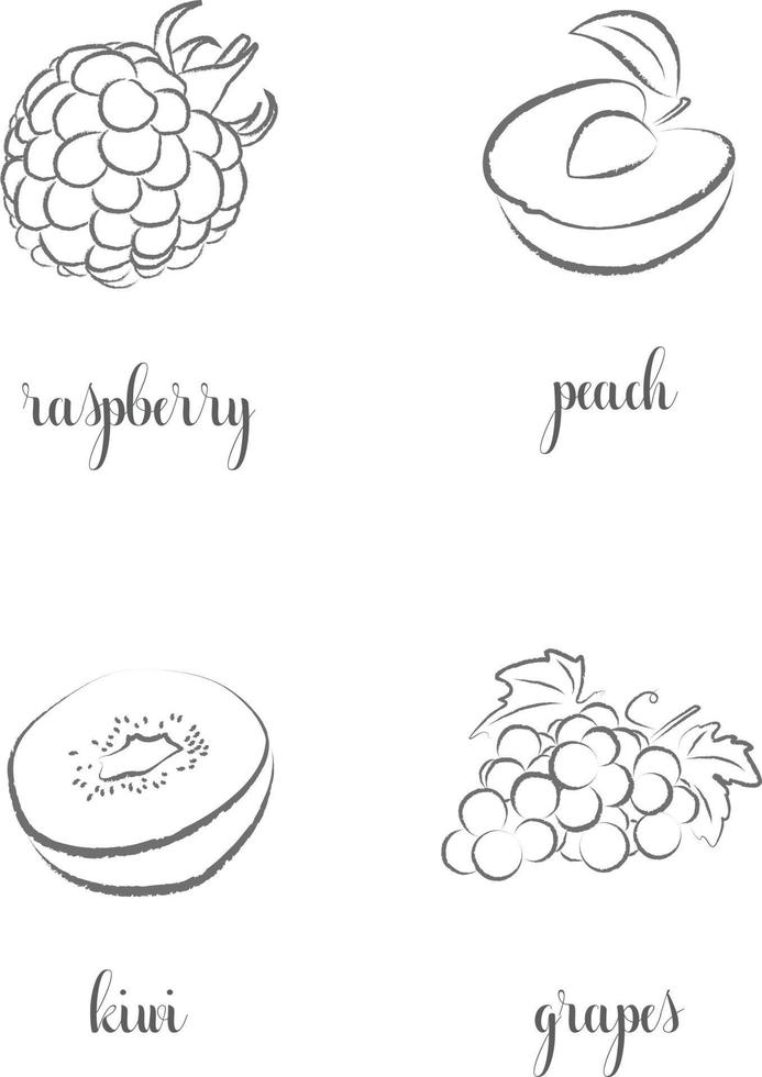 main dessiner frutis, ensemble. framboise, pêche, kiwi, raisin. vecteur