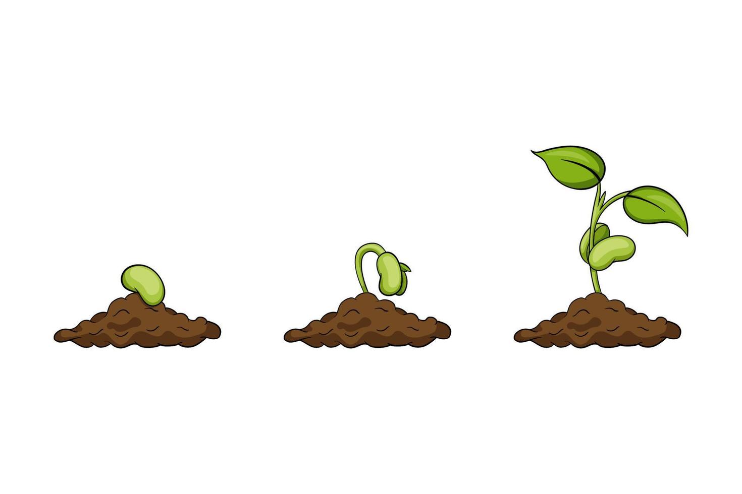 illustration de graines de germination isolée sur fond blanc vecteur