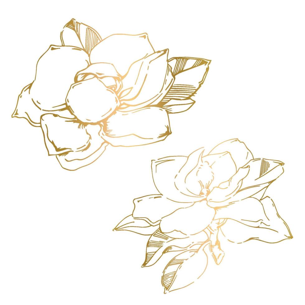 croquis de vecteur de fleur de magnolia peinte à la main noire