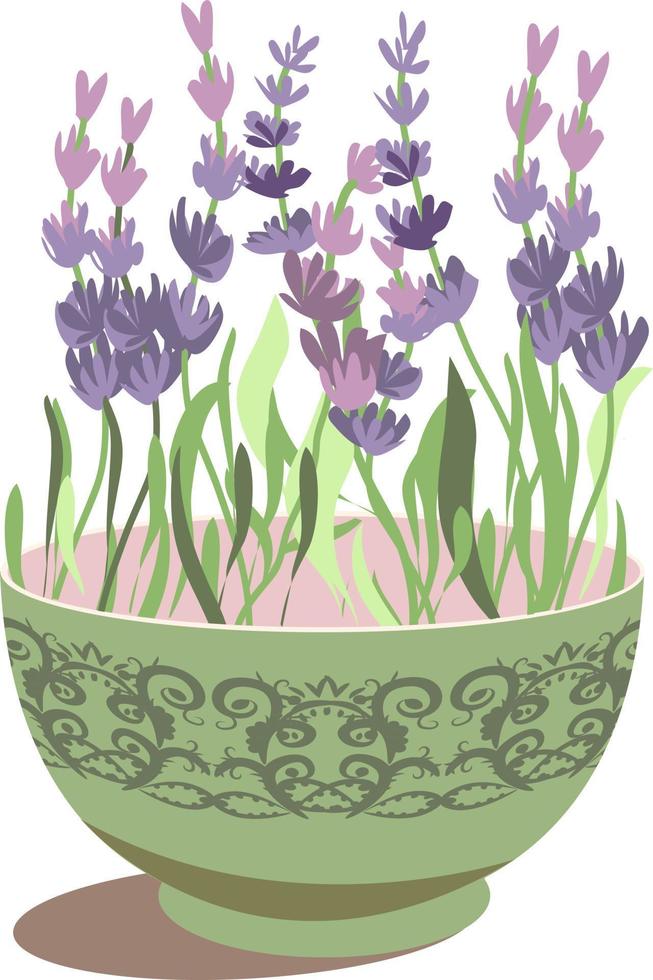 lavande en pot.illustration vectorielle de fleurs sauvages vecteur
