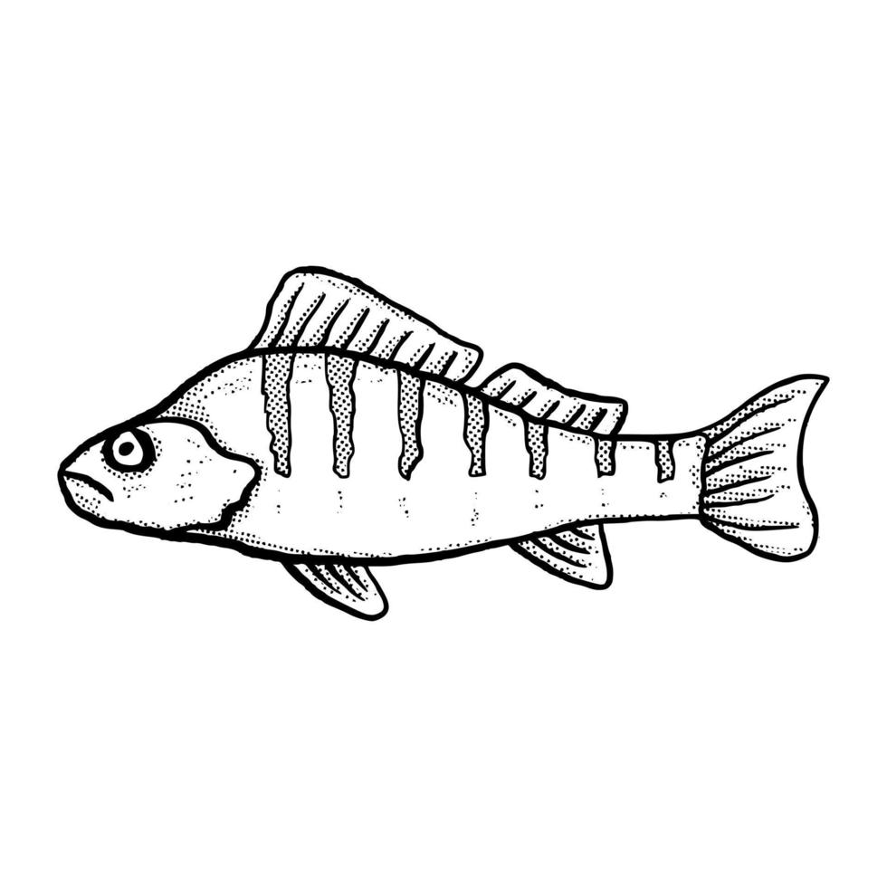 illustration de poisson croquis de dessin animé dessiné à la main lineart vecteur de style vintage